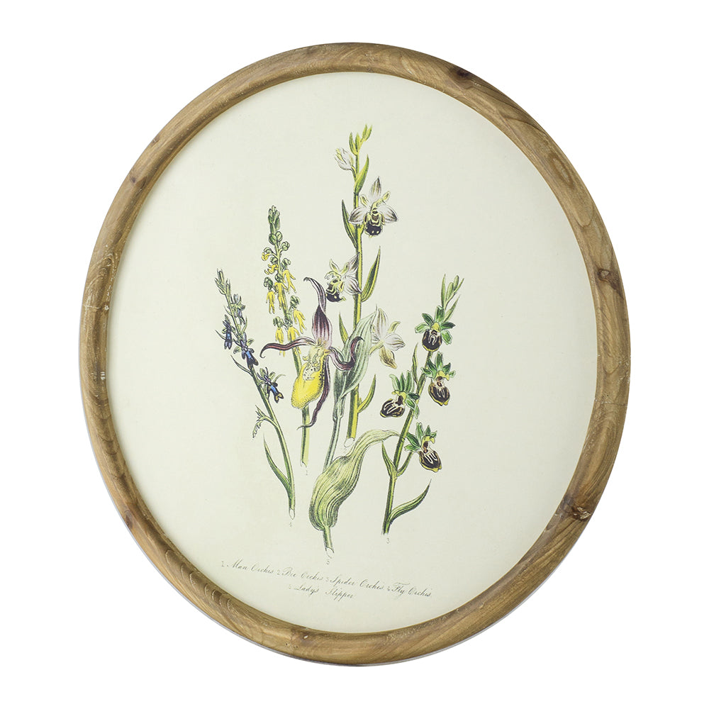 S/4 D19.7" Flora Print Round Frame image 4