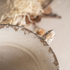 Vintage Double-Handled Flower Pot for Timeless Home Décor, Ideal for Showcasing Plants and Adding Charm to Your Space