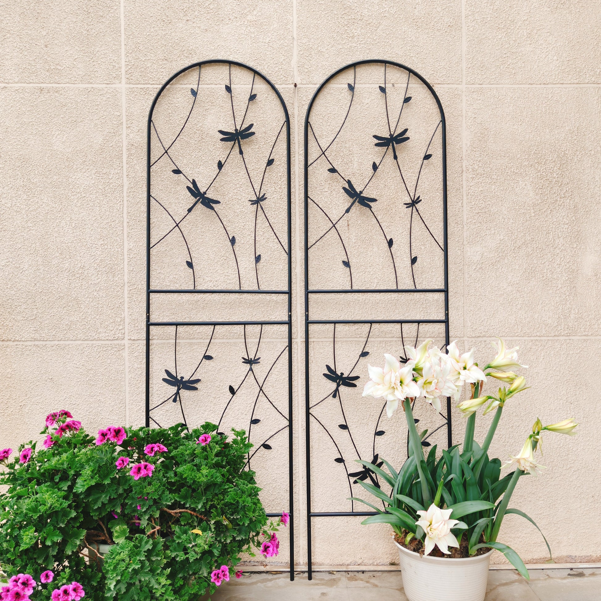 4 Pack Metal Garden Trellis 71" x 19.7" Rustproof Trellis for Climbing Plants Outdoor Flower Support Dragonfly Deco Black image 10