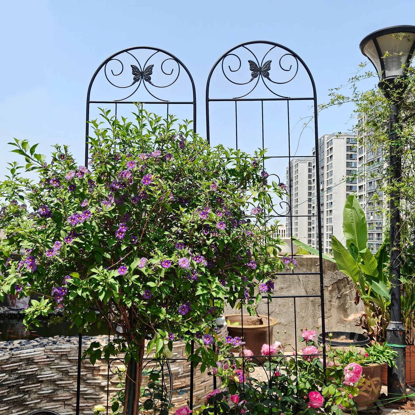 2 Pack Metal Garden Trellis 86.7" x 19.7" Rustproof Trellis for Climbing Plants Outdoor Flower Support Black image 11