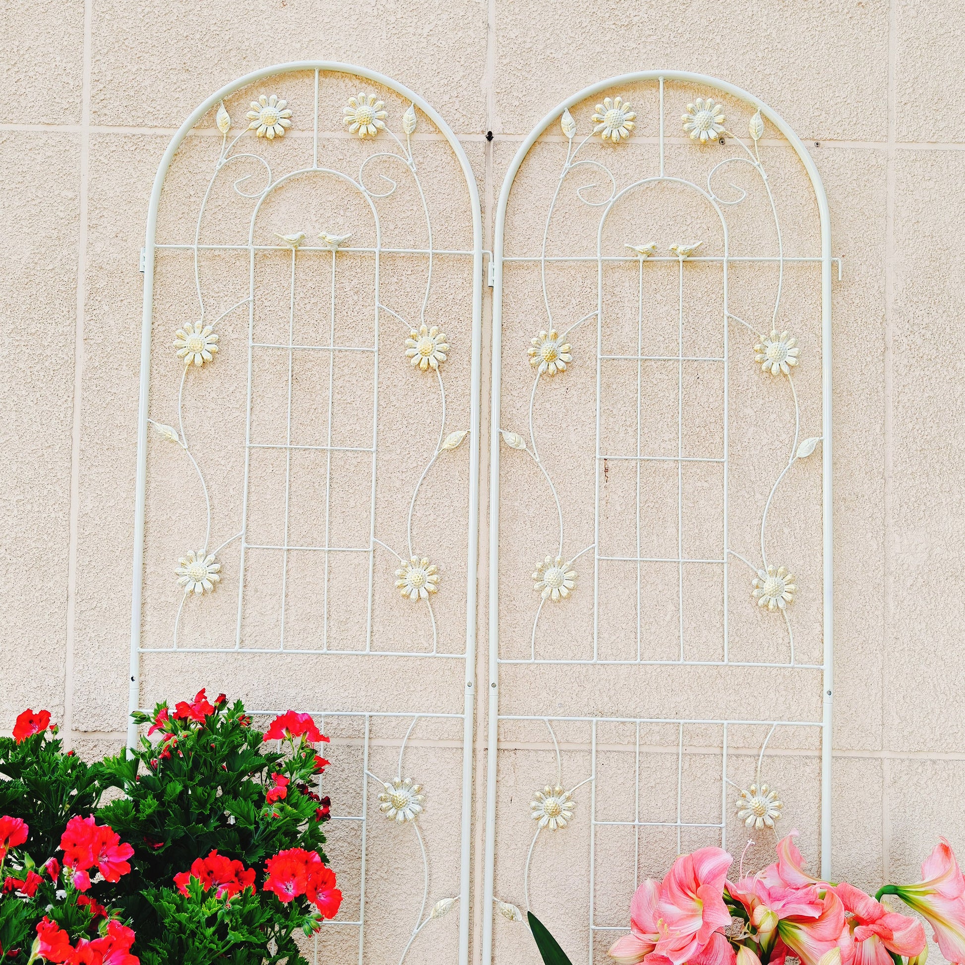 4 Pack Metal Garden Trellis 71" x 19.7" Rustproof Trellis for Climbing Plants Outdoor Flower Support Cream White image 7