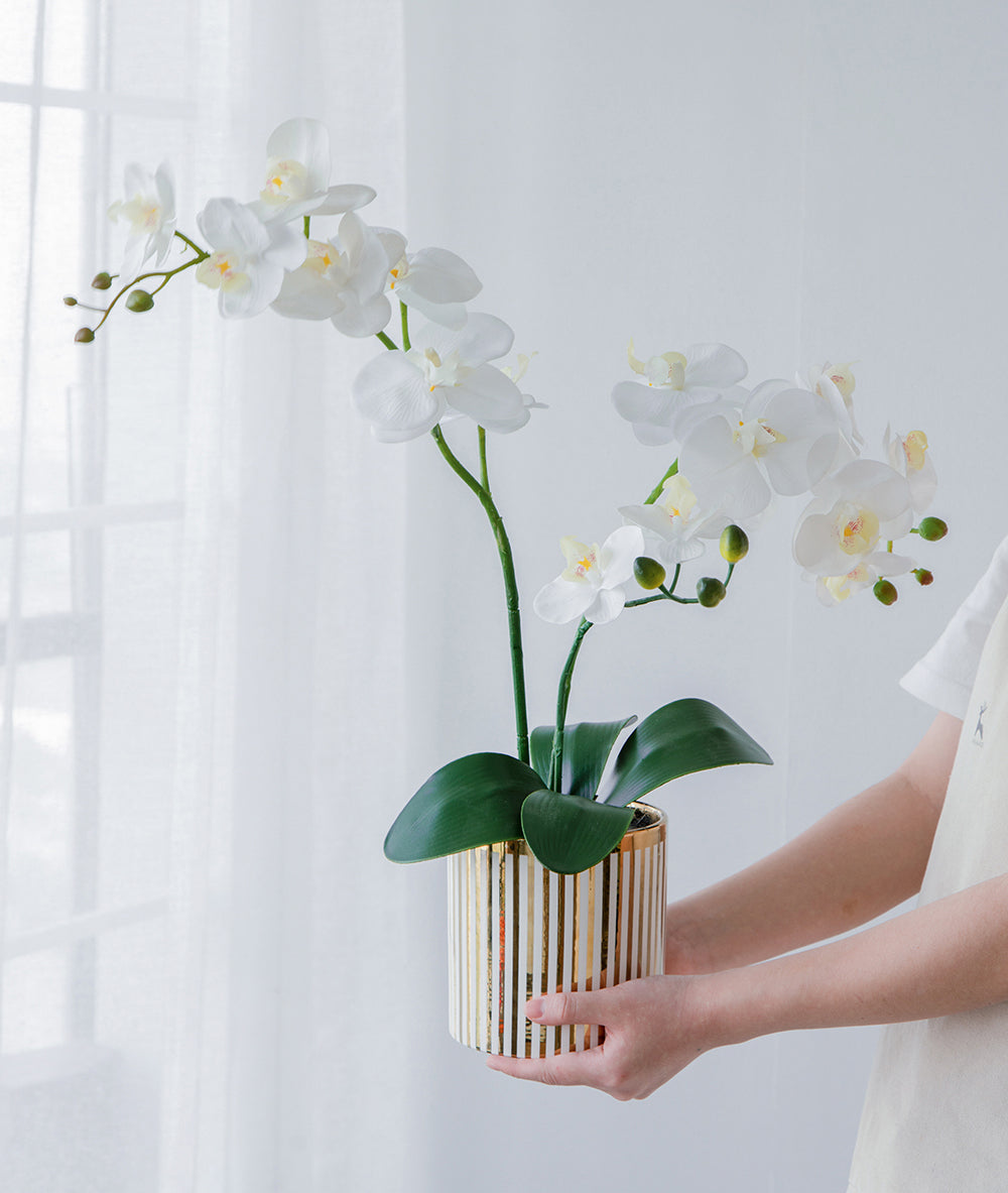 9.5x6x20.5"H Artificial White Orchid in Gold Striped Pot image 3