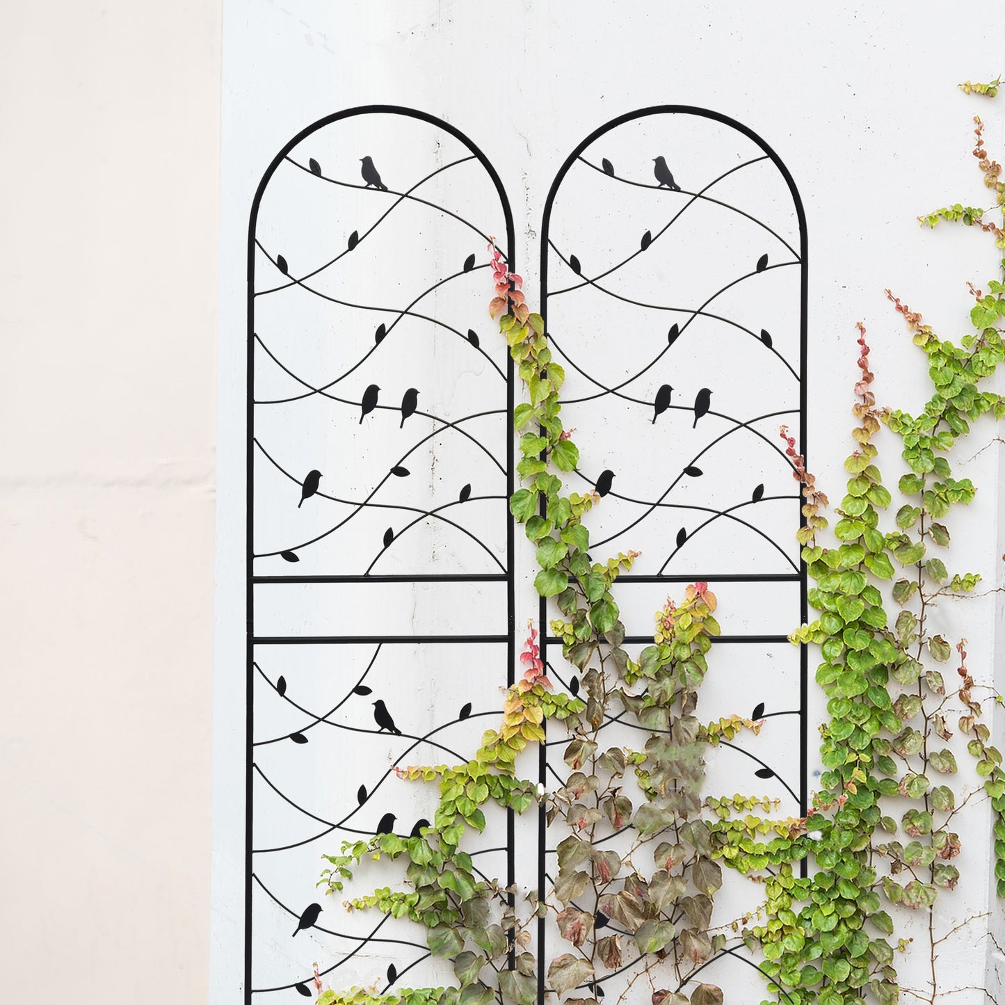 4 Pack Metal Garden Trellis 71" x 19.7" Rustproof Trellis for Climbing Plants Outdoor Flower Support Bird Deco Black image 6