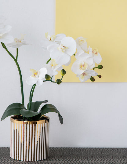 9.5x6x20.5"H Artificial White Orchid in Gold Striped Pot image 6