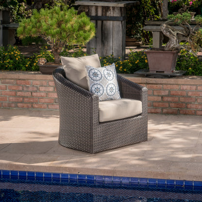 Outdoor Aluminum Frame Wicker Swivel Chair (old sku N757P186009B) image 3