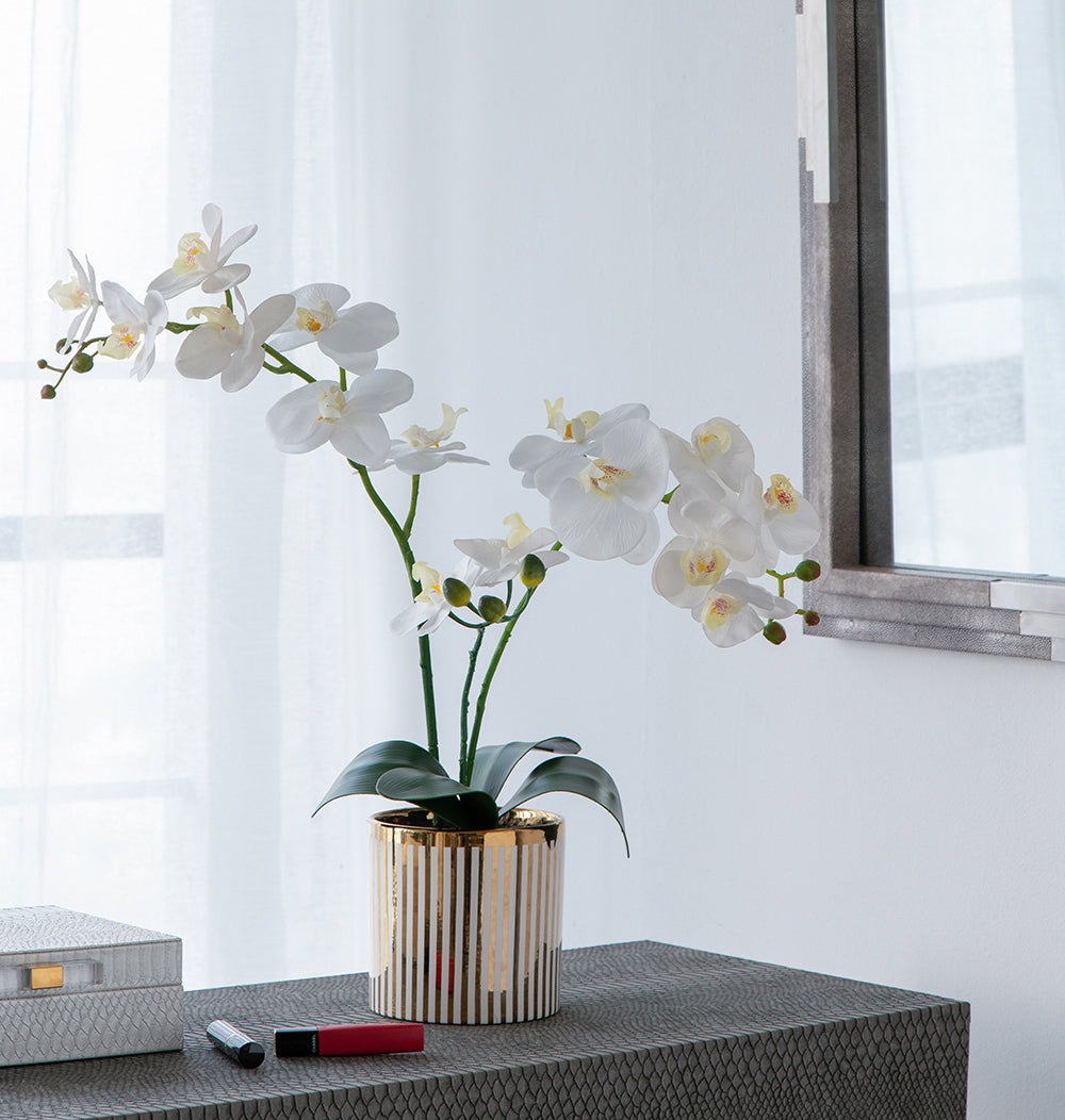 9.5x6x20.5"H Artificial White Orchid in Gold Striped Pot image 1
