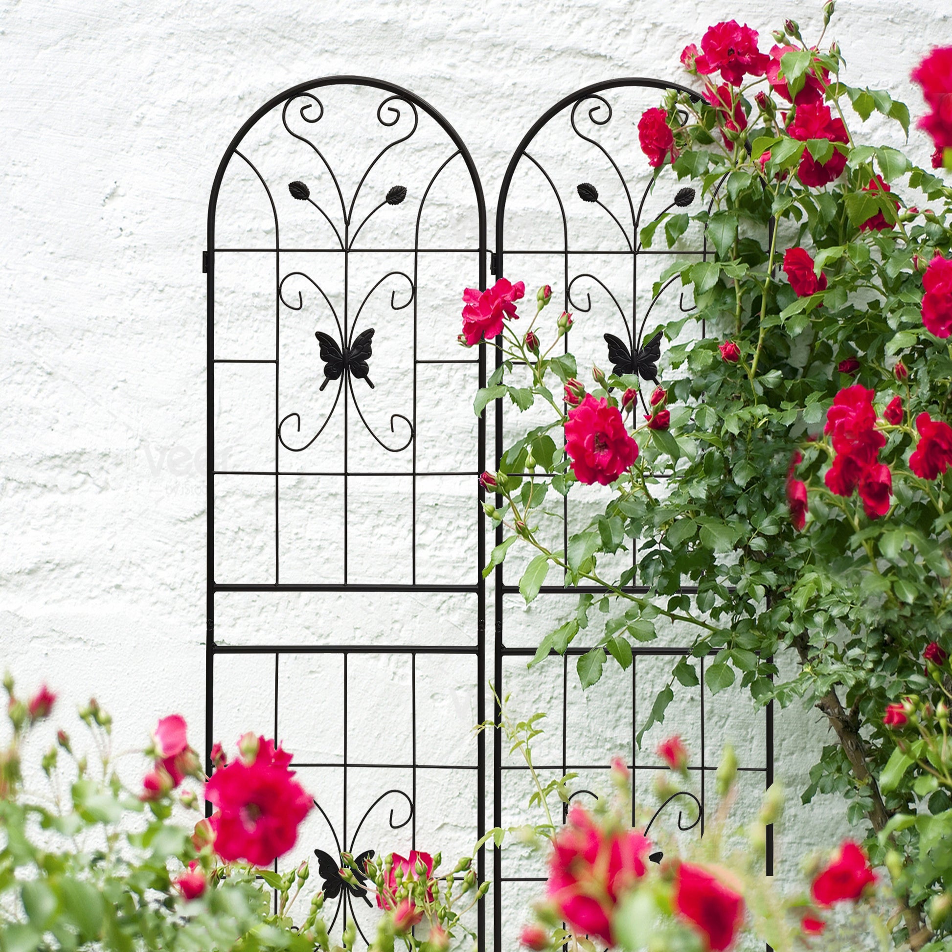 2 Pack Metal Garden Trellis 71" x 19.7" Rustproof Trellis for Climbing Plants Outdoor Flower Support Black image 6