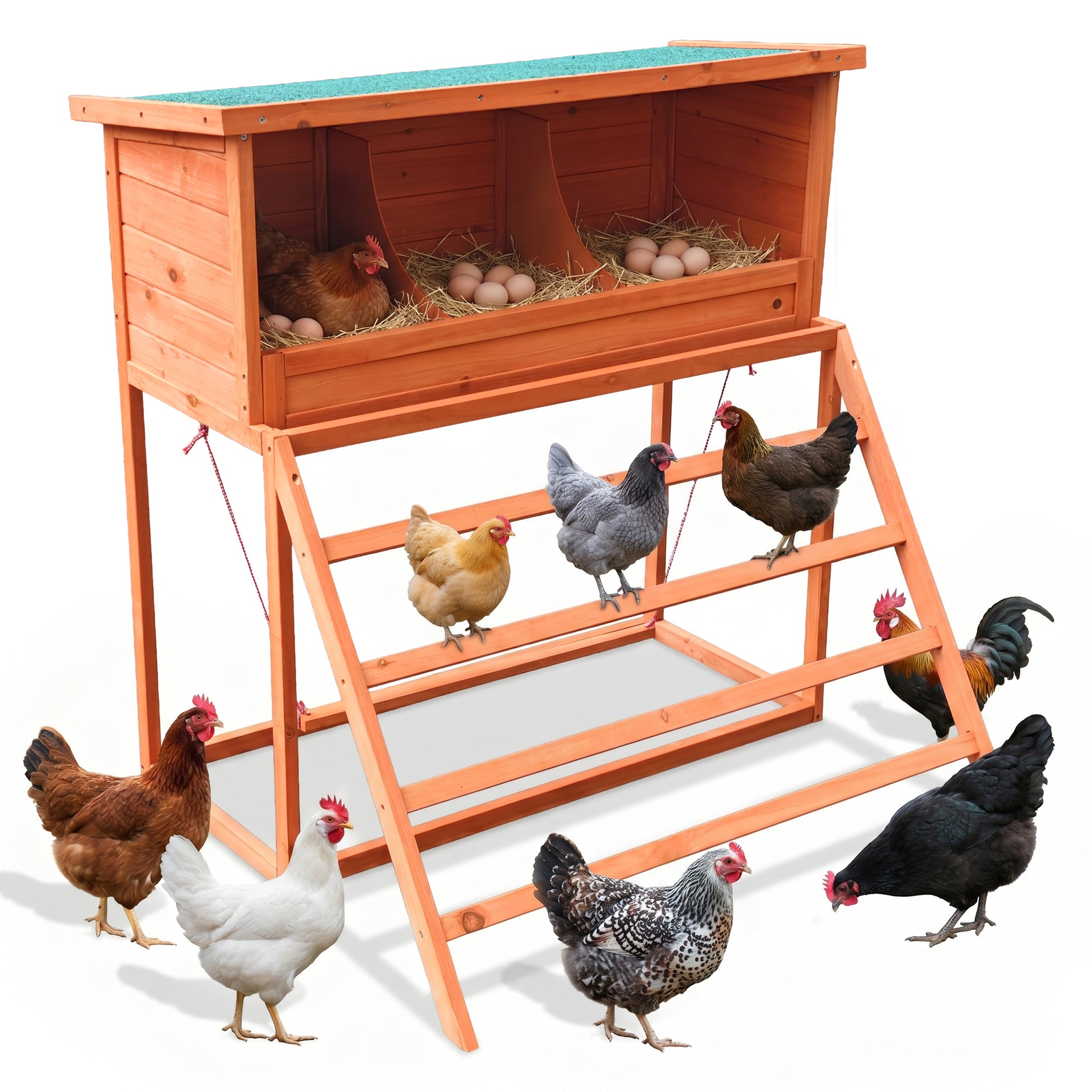 3-in-1 Nesting Boxes for Chickens with Perch and Swing- Wooden Chicken Nesting Box for Poultry 3 Compartments Laying Eggs Nest Box for Chickens, Hens, Ducks image 1