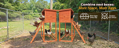 3-in-1 Nesting Boxes for Chickens with Perch and Swing- Wooden Chicken Nesting Box for Poultry 3 Compartments Laying Eggs Nest Box for Chickens, Hens, Ducks image 11
