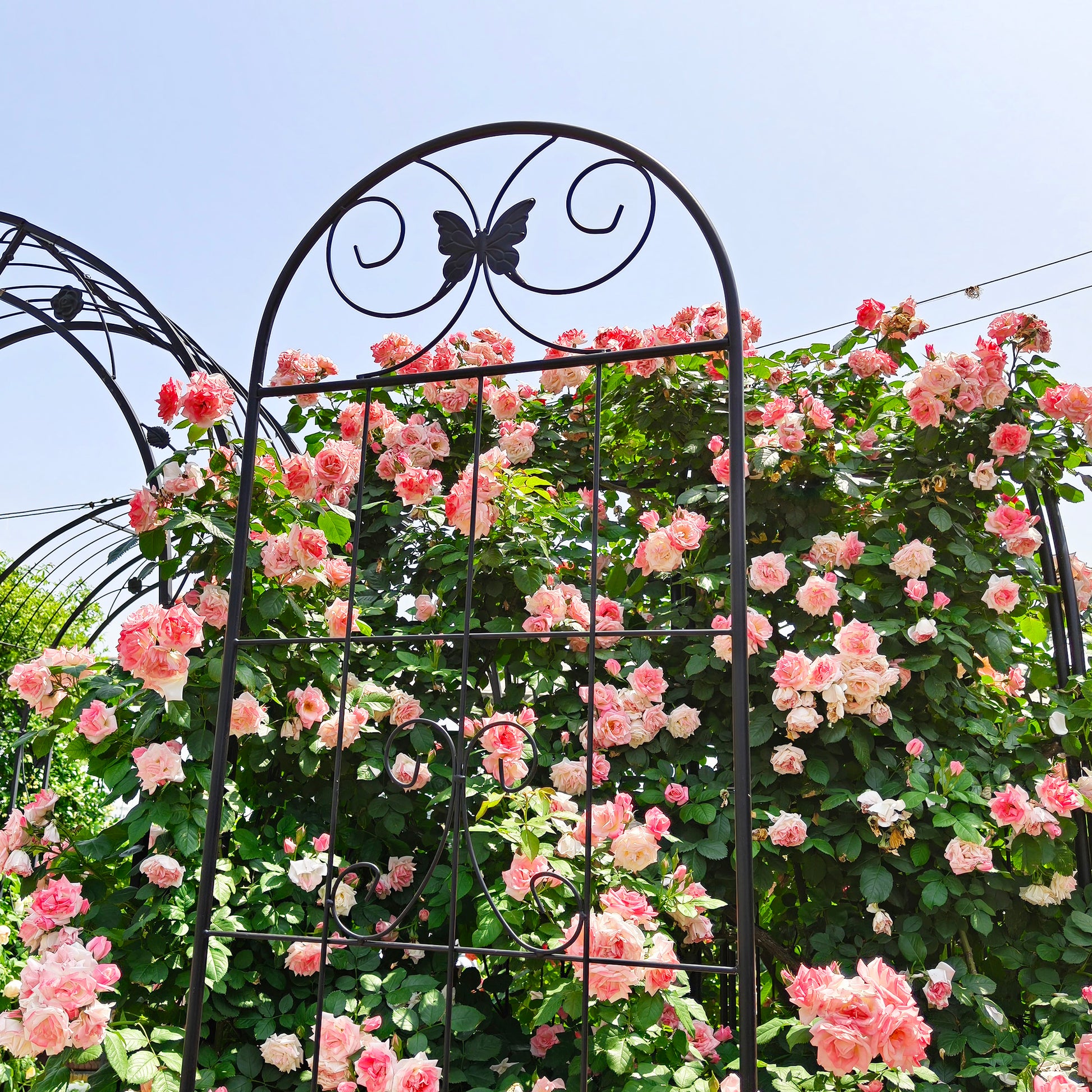 2 Pack Metal Garden Trellis 86.7" x 19.7" Rustproof Trellis for Climbing Plants Outdoor Flower Support Black image 10