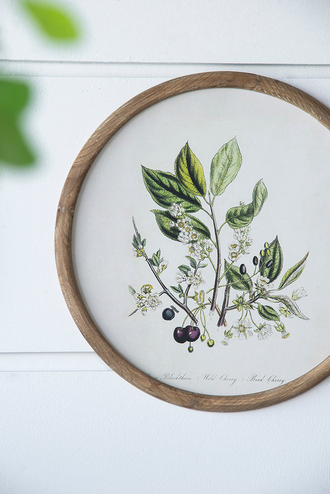 S/4 D19.7" Flora Print Round Frame image 11