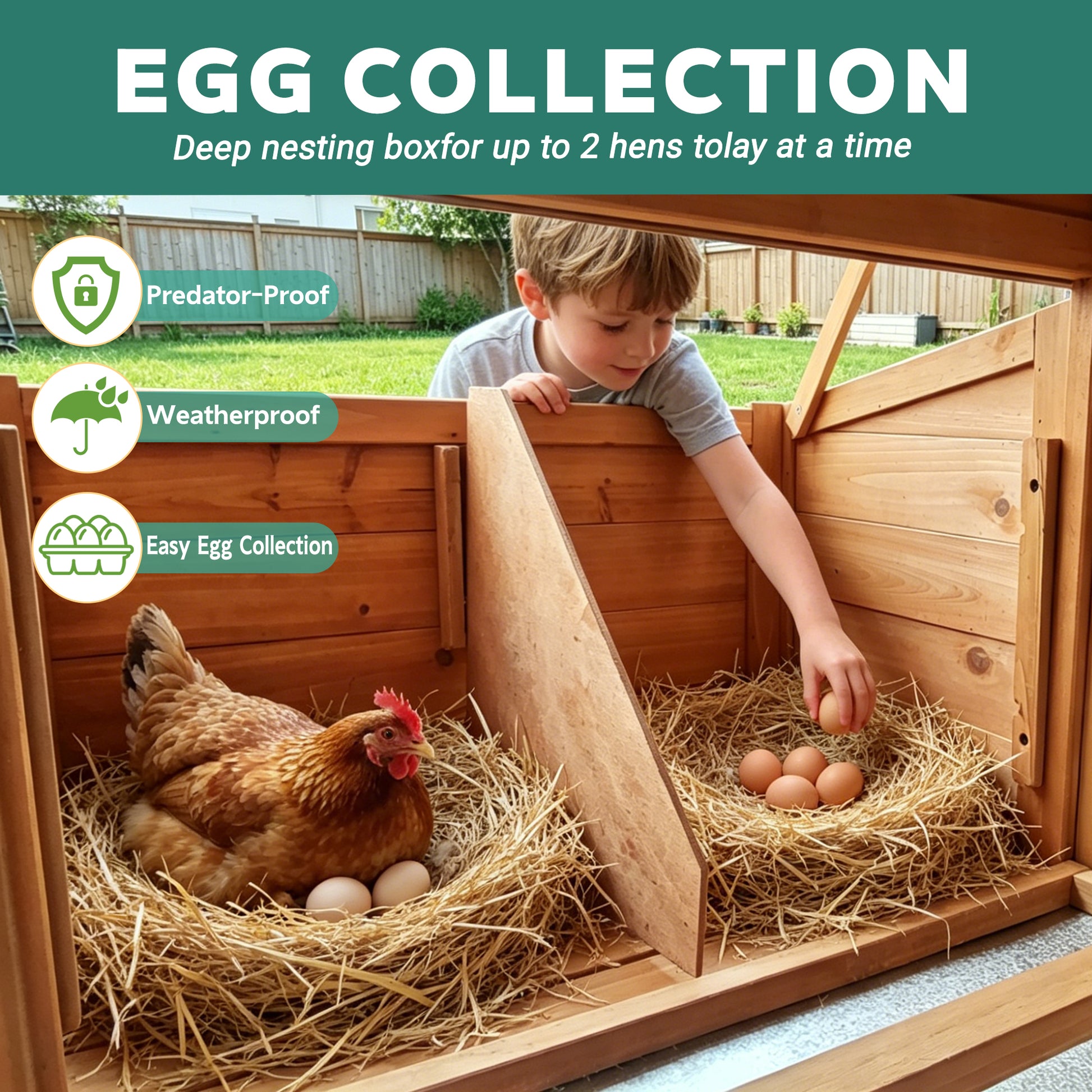 Large Chicken Coop with Run and Nest Box and Removable Tray, Hen House for 4-6 Chickens, Outdoor Weatherproof Small Animal Cages image 6