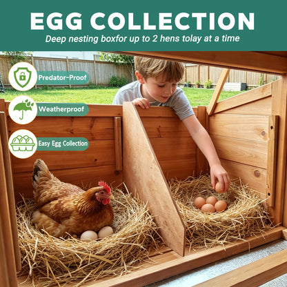 Large Chicken Coop with Run and Nest Box and Removable Tray, Hen House for 4-6 Chickens, Outdoor Weatherproof Small Animal Cages image 6