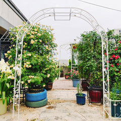 Metal Garden Arch W74.4'' x H98.4'' Garden Arbor Trellis Climbing Plants Support Rose Arch Outdoor Arch Cream White