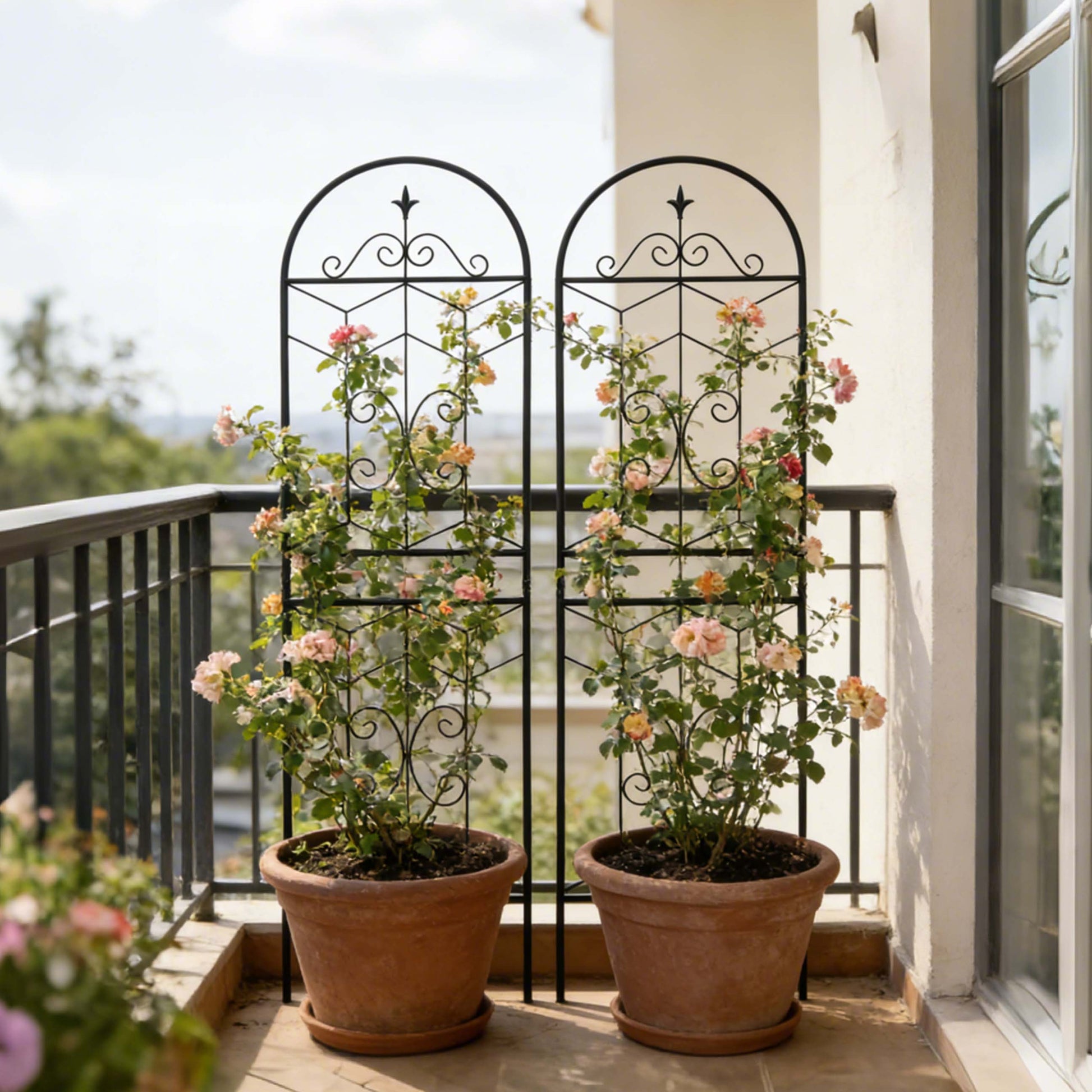 2 Pack Metal Garden Trellis 71" x 19.7" Rustproof Trellis for Climbing Plants Outdoor Flower Support Black image 4