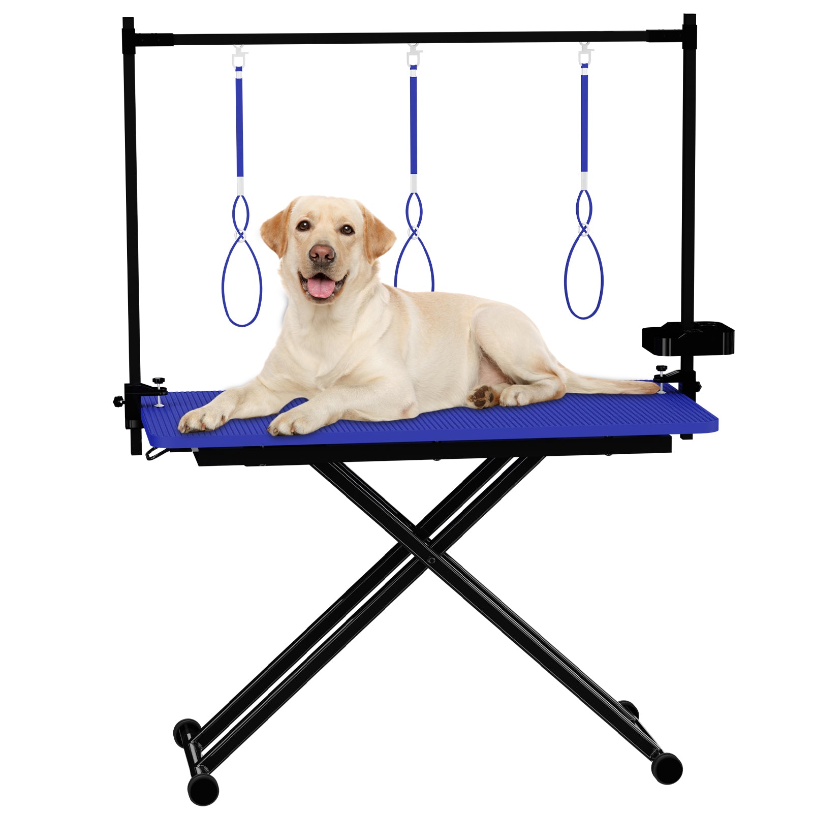 47'' Blue Large Dog Grooming Table X-Lift Foldable Grooming Table for Dogs at Home Adjustable Height Arms Pet Station with Nooses, Tool Organizer image 1