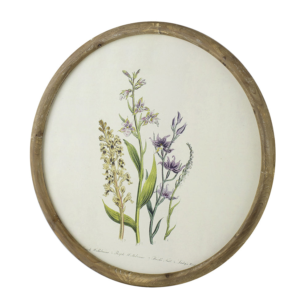 S/4 D19.7" Flora Print Round Frame image 6