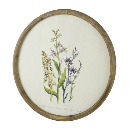 S/4 D19.7" Flora Print Round Frame image 6