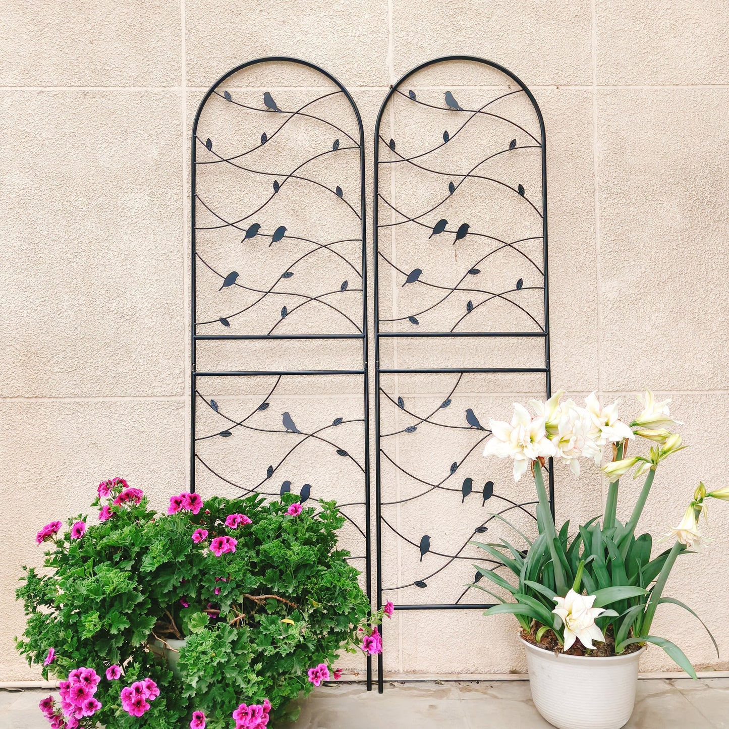 4 Pack Metal Garden Trellis 71" x 19.7" Rustproof Trellis for Climbing Plants Outdoor Flower Support Bird Deco Black image 3
