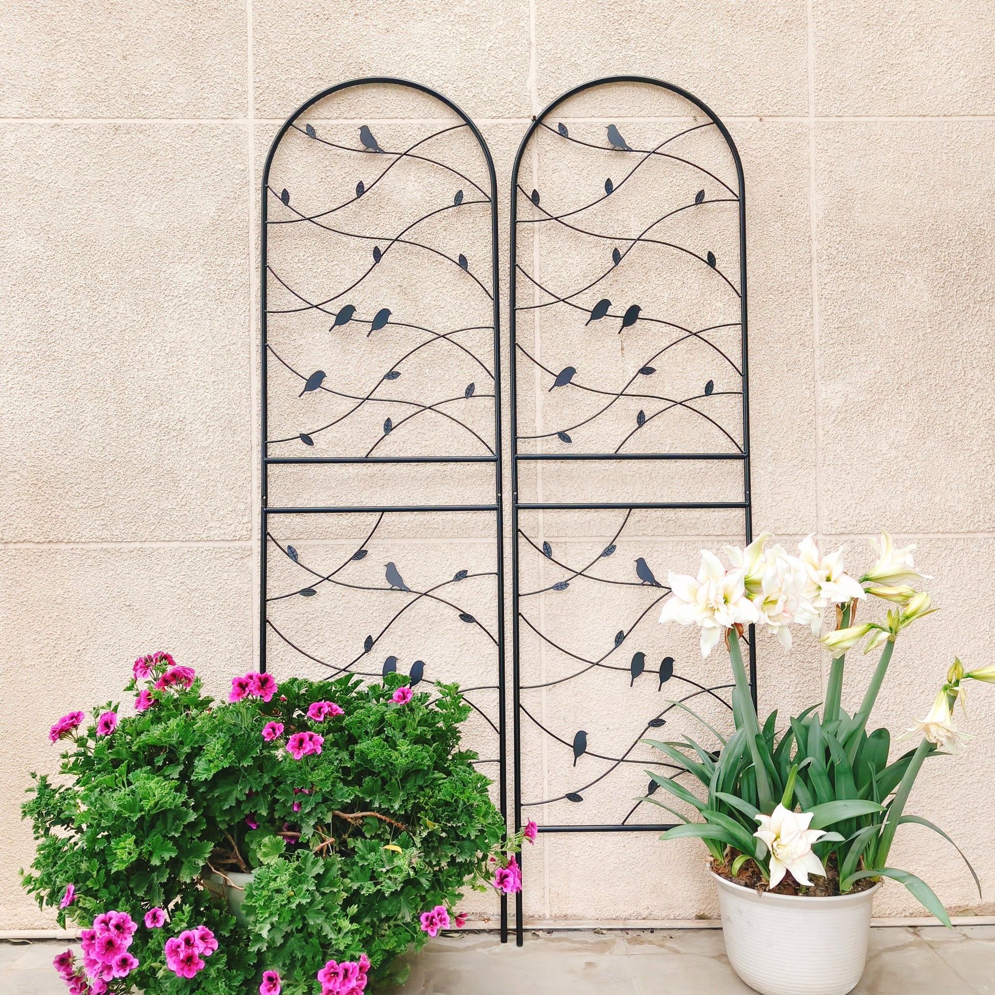 4 Pack Metal Garden Trellis 71" x 19.7" Rustproof Trellis for Climbing Plants Outdoor Flower Support Bird Deco Black image 3