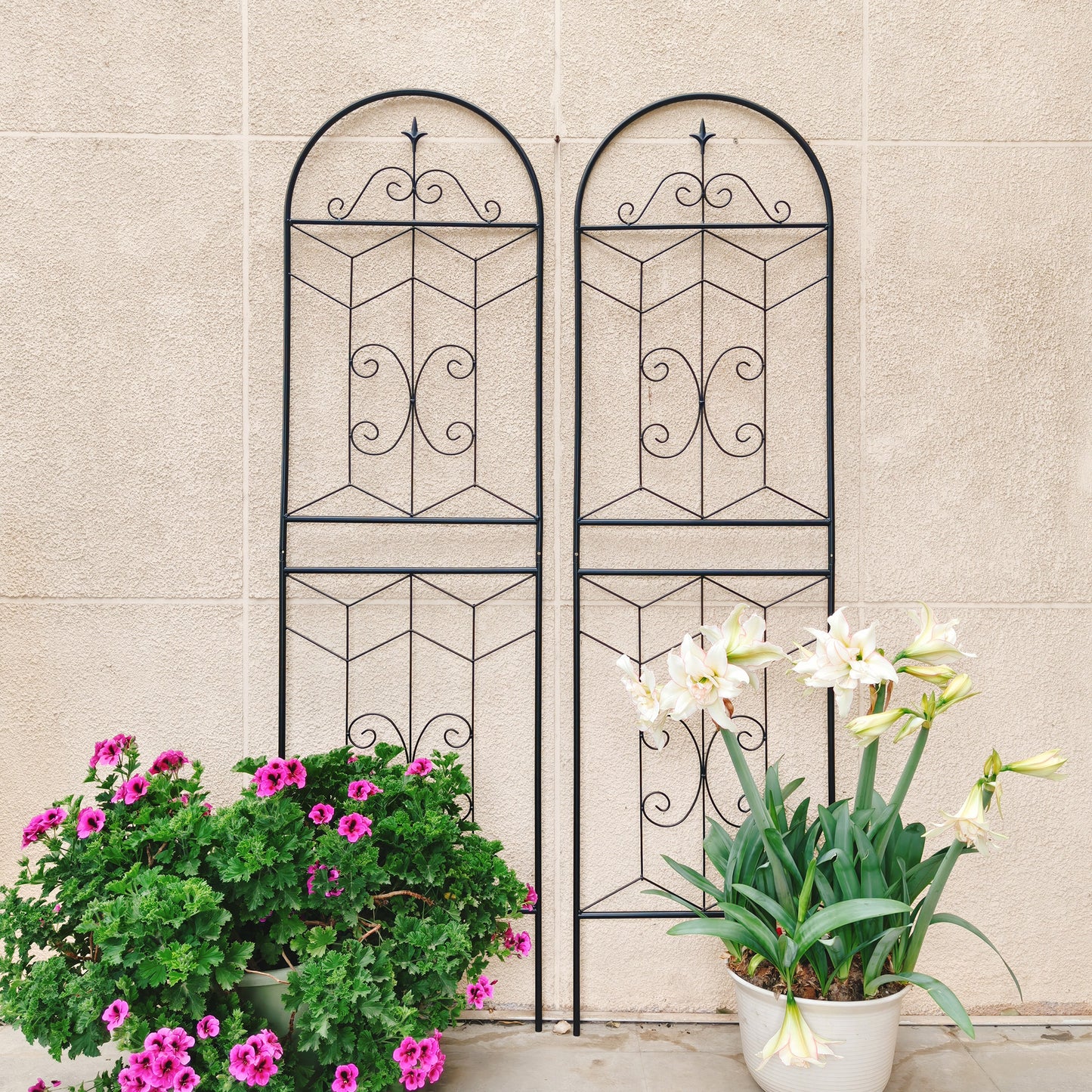 4 Pack Metal Garden Trellis 71" x 19.7" Rustproof Trellis for Climbing Plants Outdoor Flower Support Black image 10