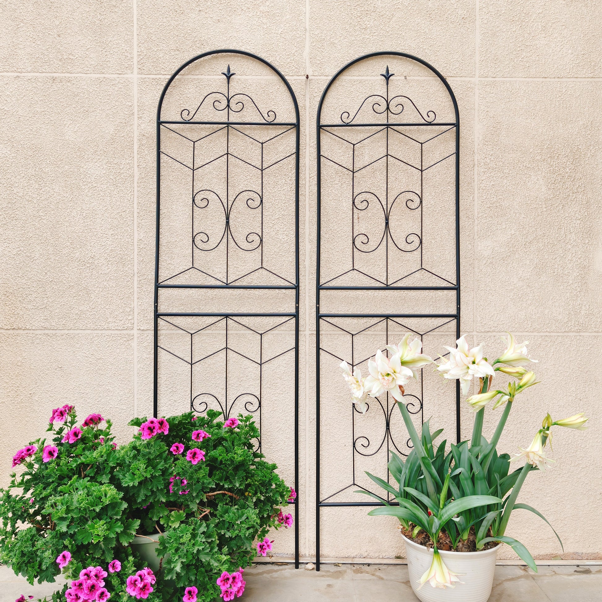 4 Pack Metal Garden Trellis 71" x 19.7" Rustproof Trellis for Climbing Plants Outdoor Flower Support Black image 10
