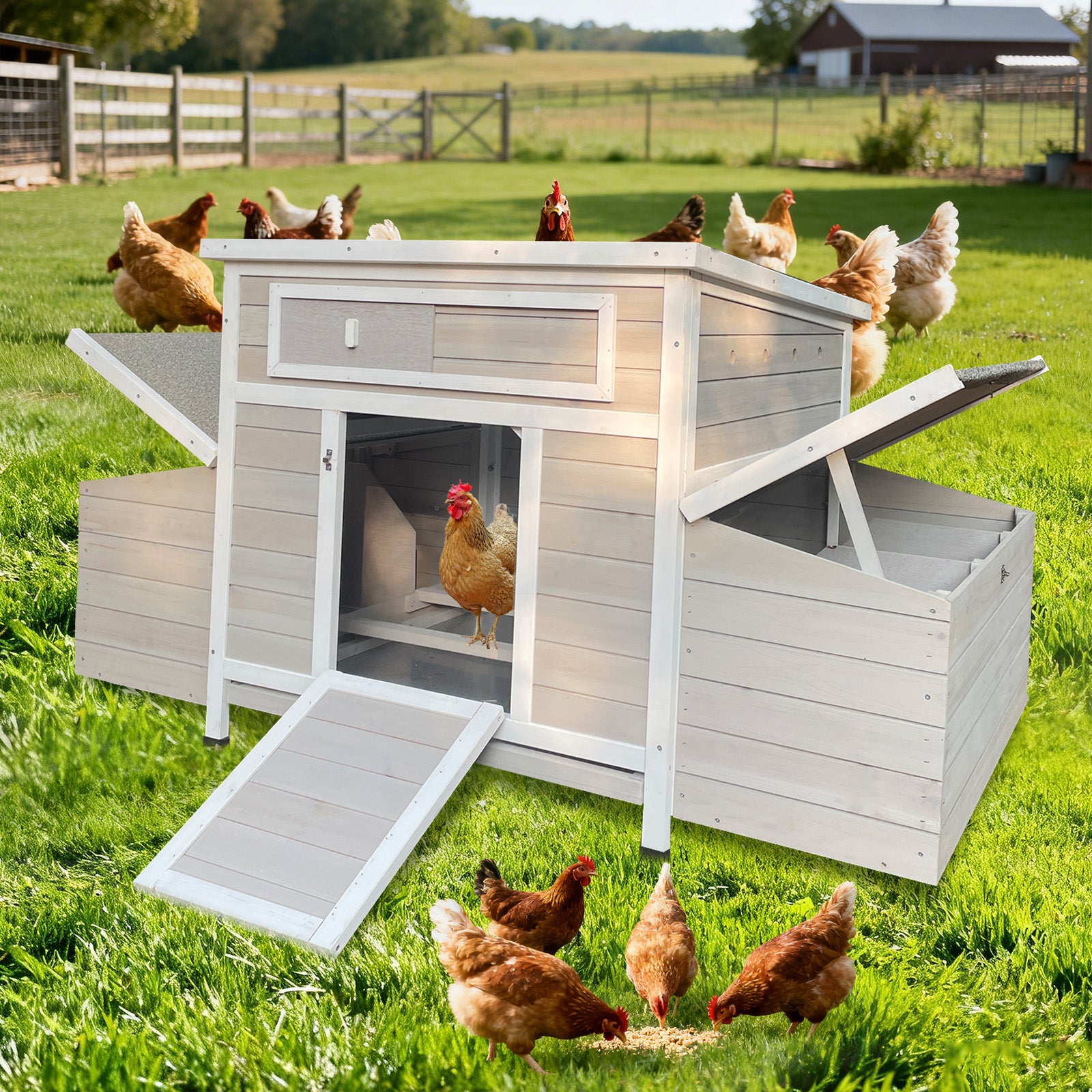 Large Wooden Chicken Coop Outdoor Hen House Poultry Cage for Outdoor with 2 Sides Nesting Boxes image 1