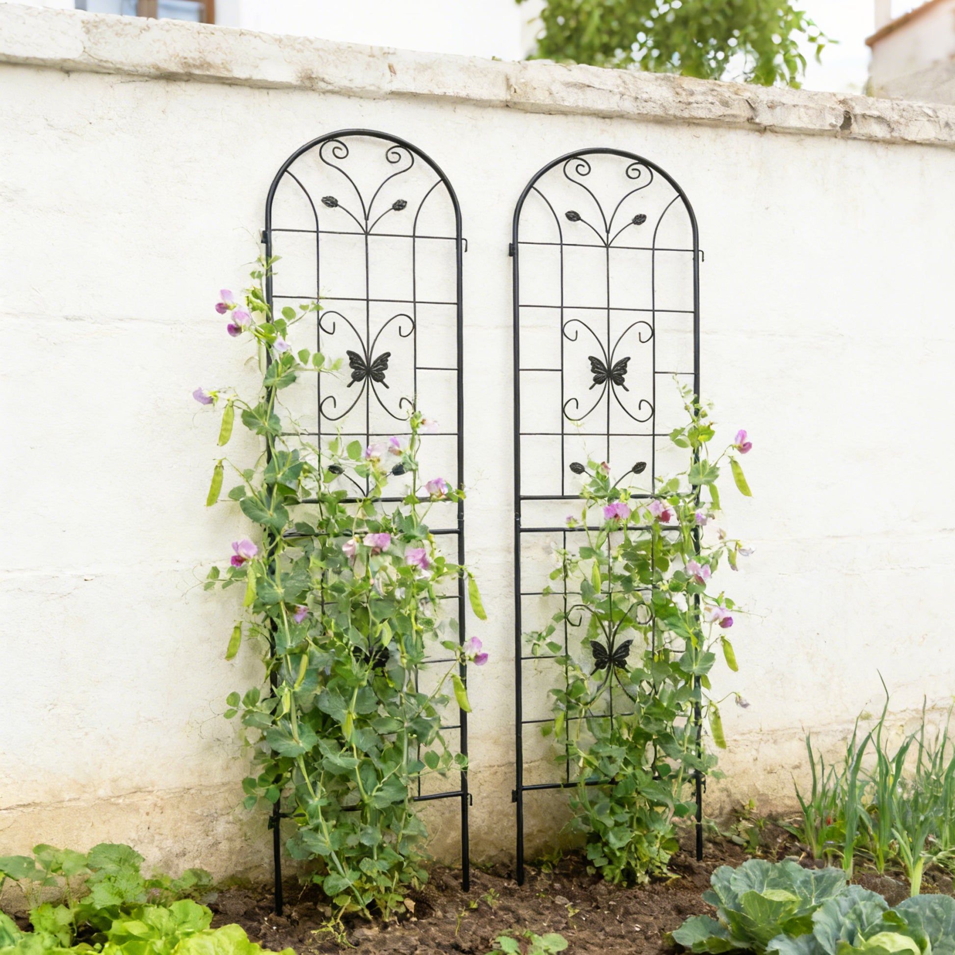 2 Pack Metal Garden Trellis 86.7" x 19.7" Rustproof Trellis for Climbing Plants Outdoor Flower Support Black image 8