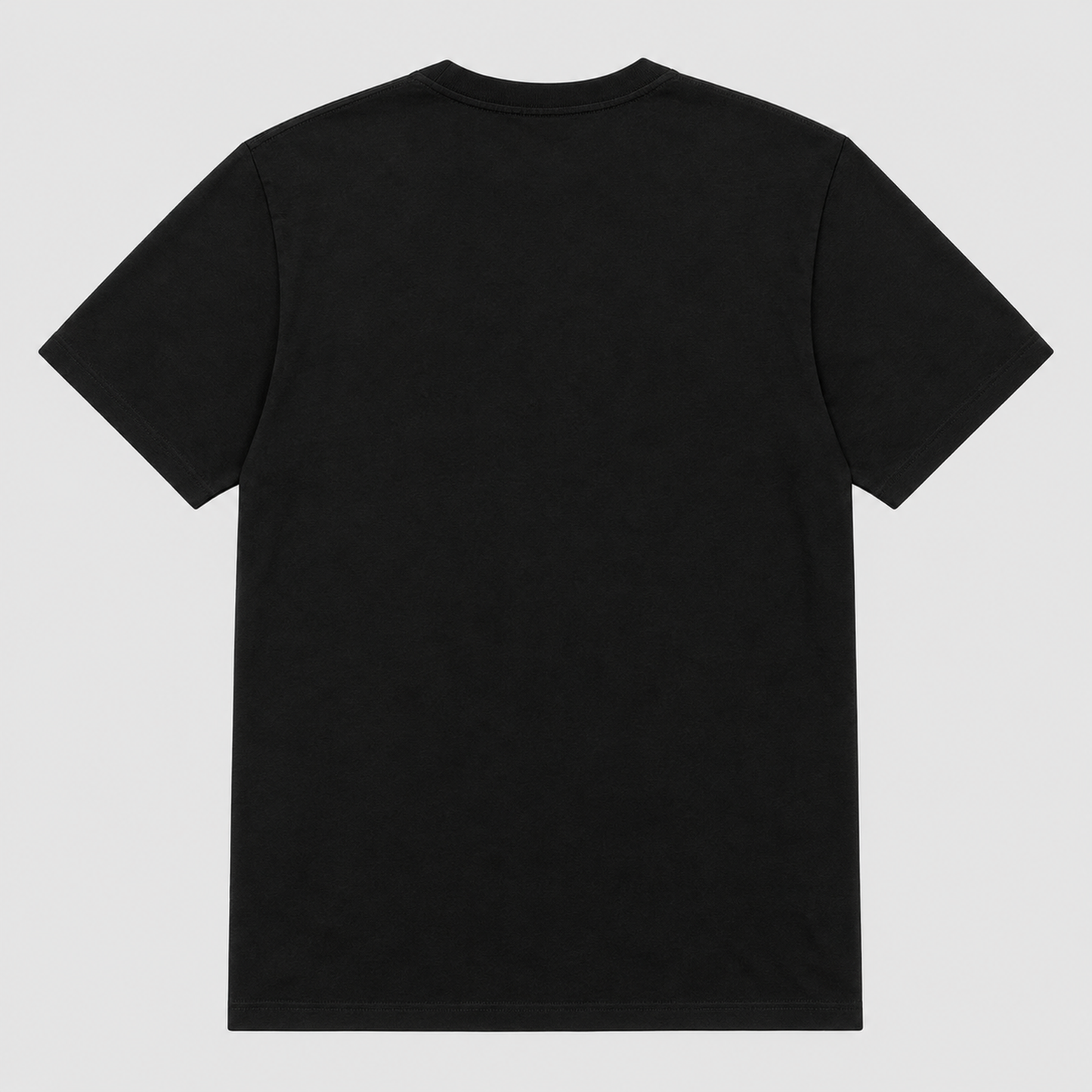 Autumn Flyway Pintail Graphic T-Shirt - POD-20260806-109_black_back_mockup