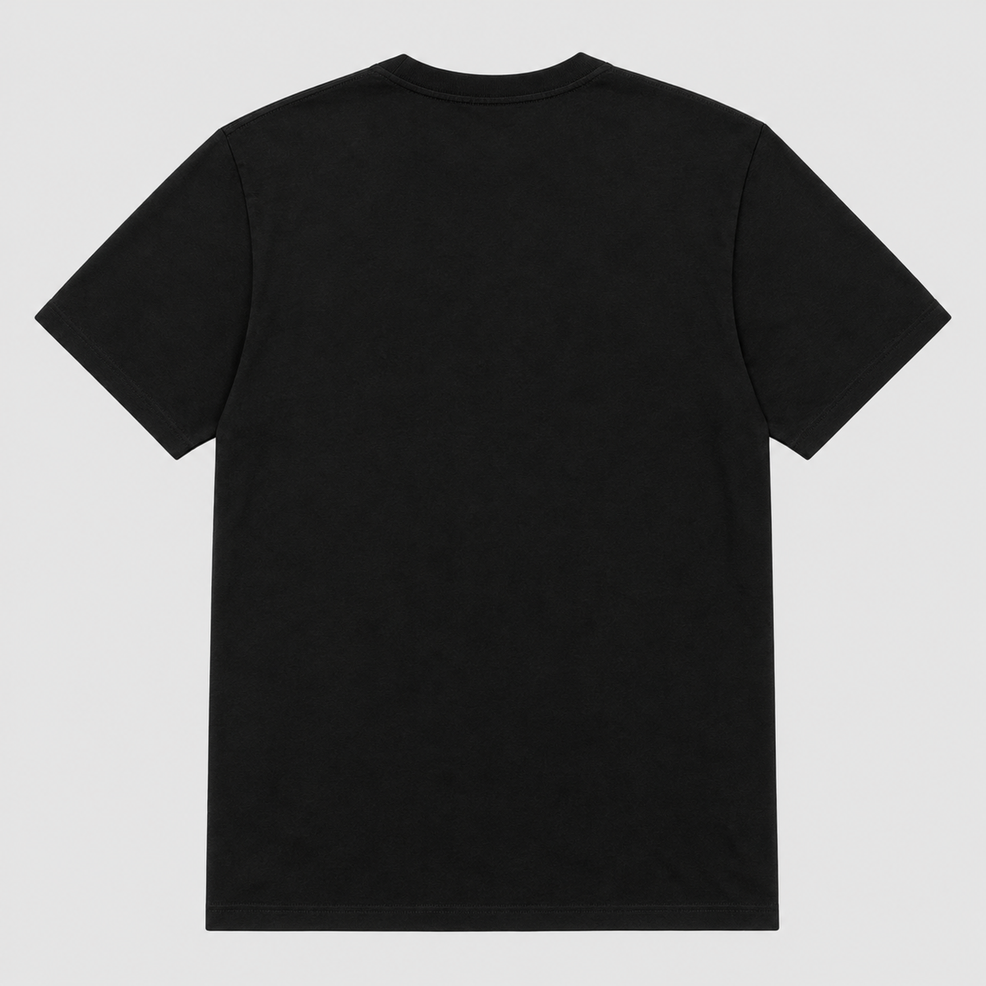 Autumn Flyway Pintail Graphic T-Shirt - POD-20260806-109_black_back_mockup