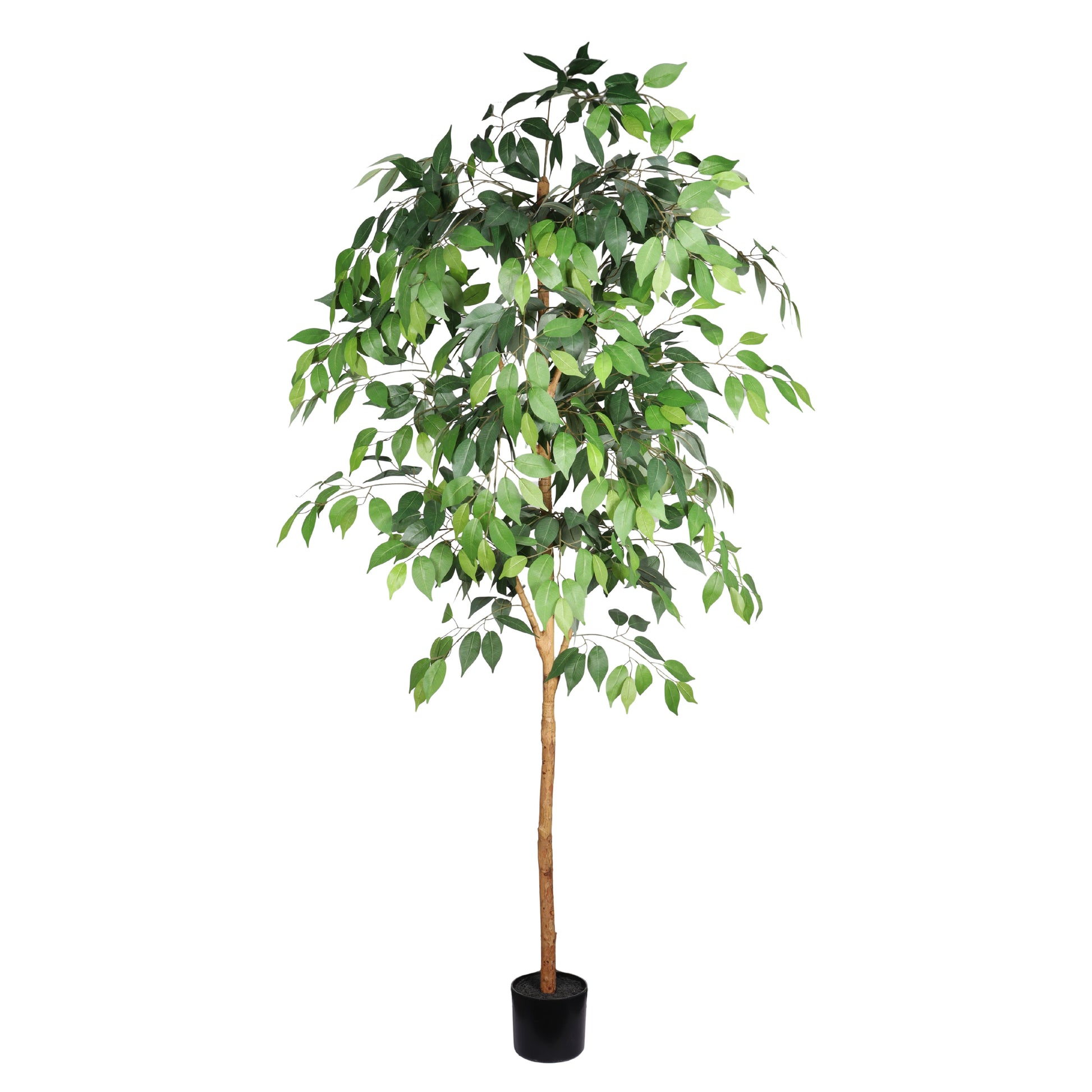 6FT Artificial Ficus Tree with Natural Trunk in Black Plastic Pot for Indoor Home Office Decor, 1pc/set image 3