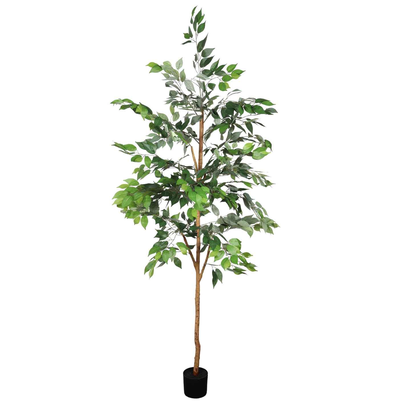 6FT Artificial Ficus Tree with Natural Trunk in Black Plastic Pot for Indoor Home Office Decor, 1pc/set image 6