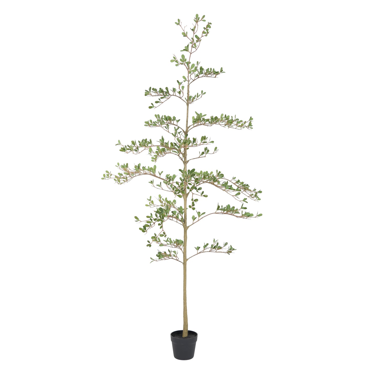 6ft Artificial Olive Tree, Realistic Faux Potted Plant in Black Pot, Indoor & Covered Outdoor Decorative Tree for Living Room and Office, 1pc/set image 4