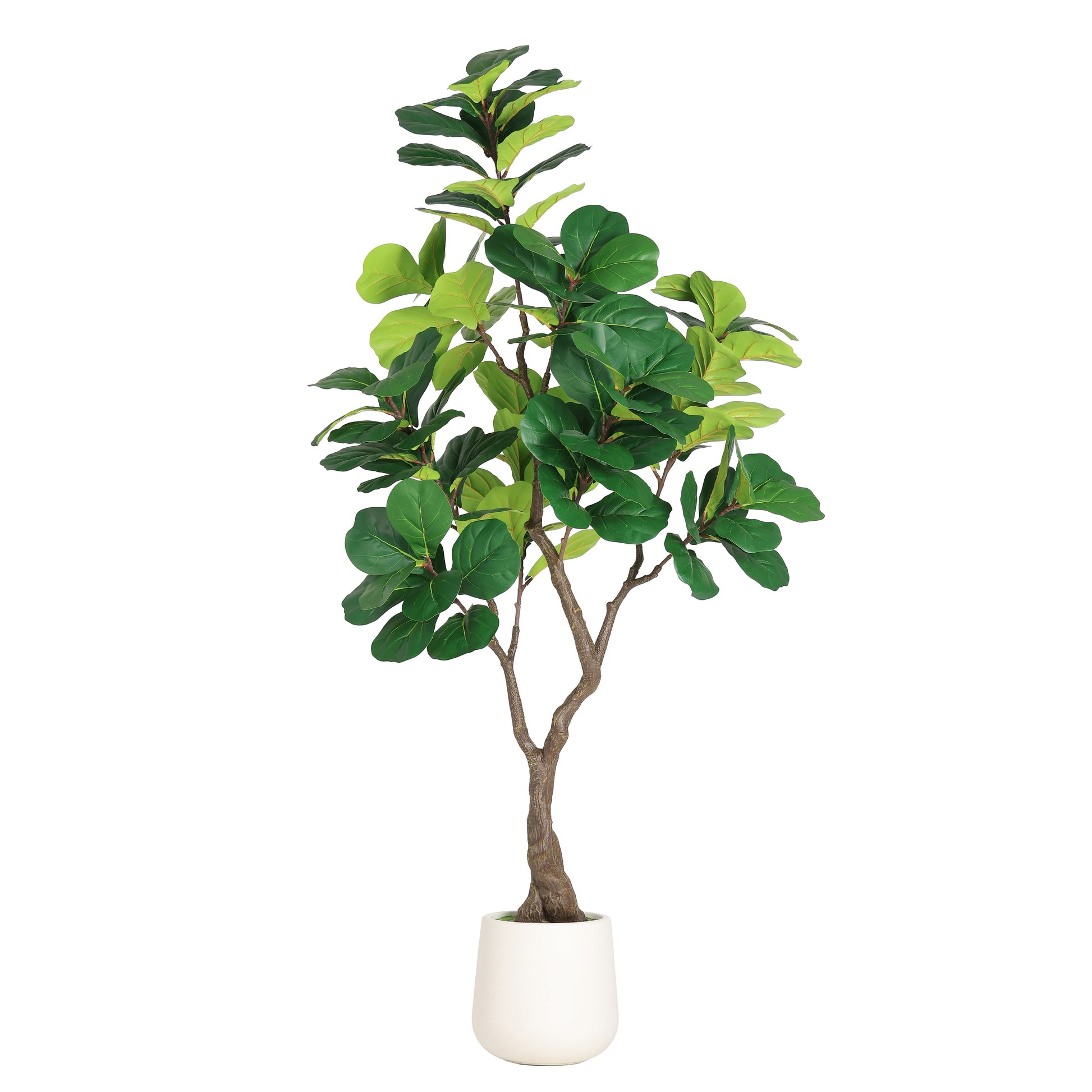 6FT Artificial Fiddle Leaf Fig Tree With Decorative White Pot, Faux Indoor Plant for Home Office Living Room Corner Decoration, 1pc/set image 3