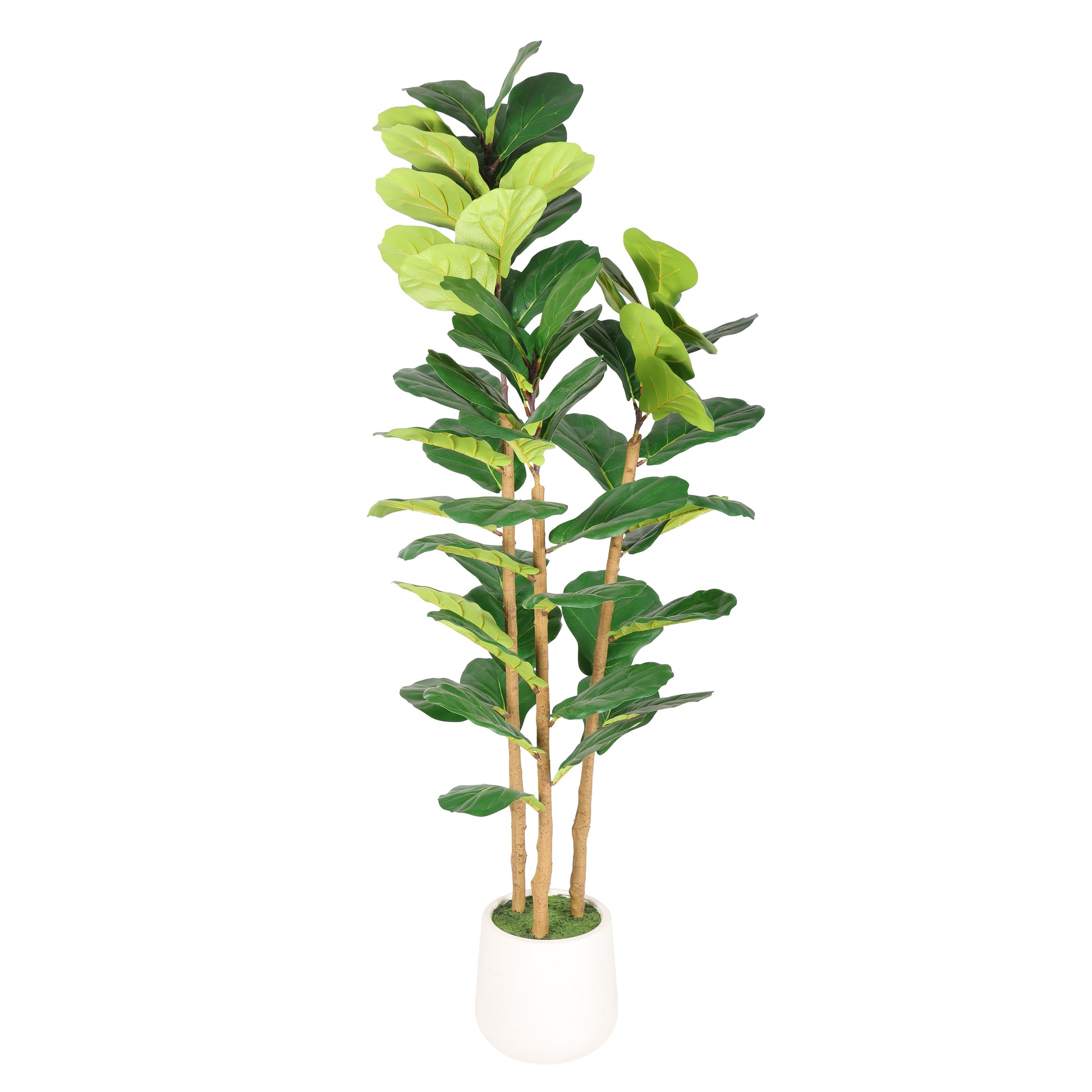 5.2FT Artificial Fiddle Leaf Fig Tree With Decorative White Pot, Real Touch Fake Indoor Plant for Home Office Living Room Corner Decoration, 1pc/set image 4