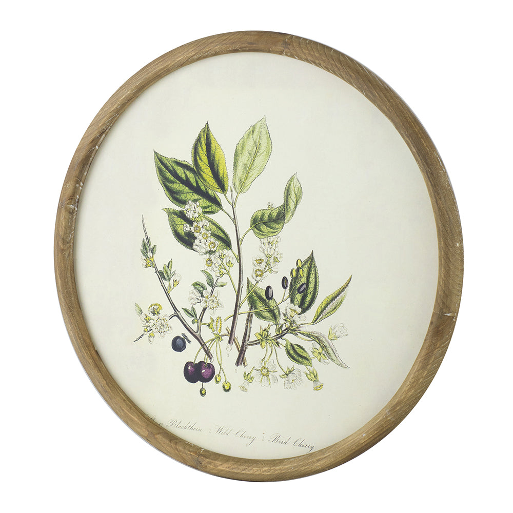 S/4 D19.7" Flora Print Round Frame image 5