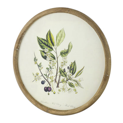 S/4 D19.7" Flora Print Round Frame image 5