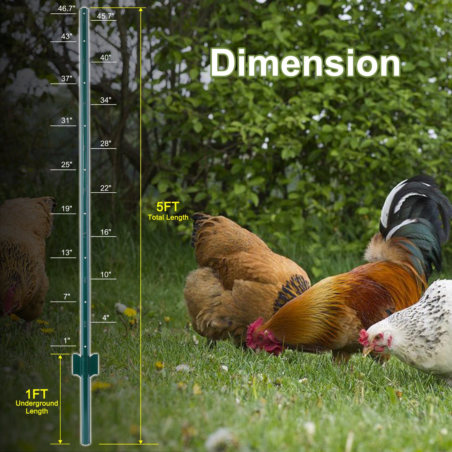 Fence Posts 5Feet - 5Pack, Heavy Duty Metal Fence Post with U-Channel, Steel Fence U-Post for Holding Garden Wire Fence, Corner Anchor Posts etc. image 3