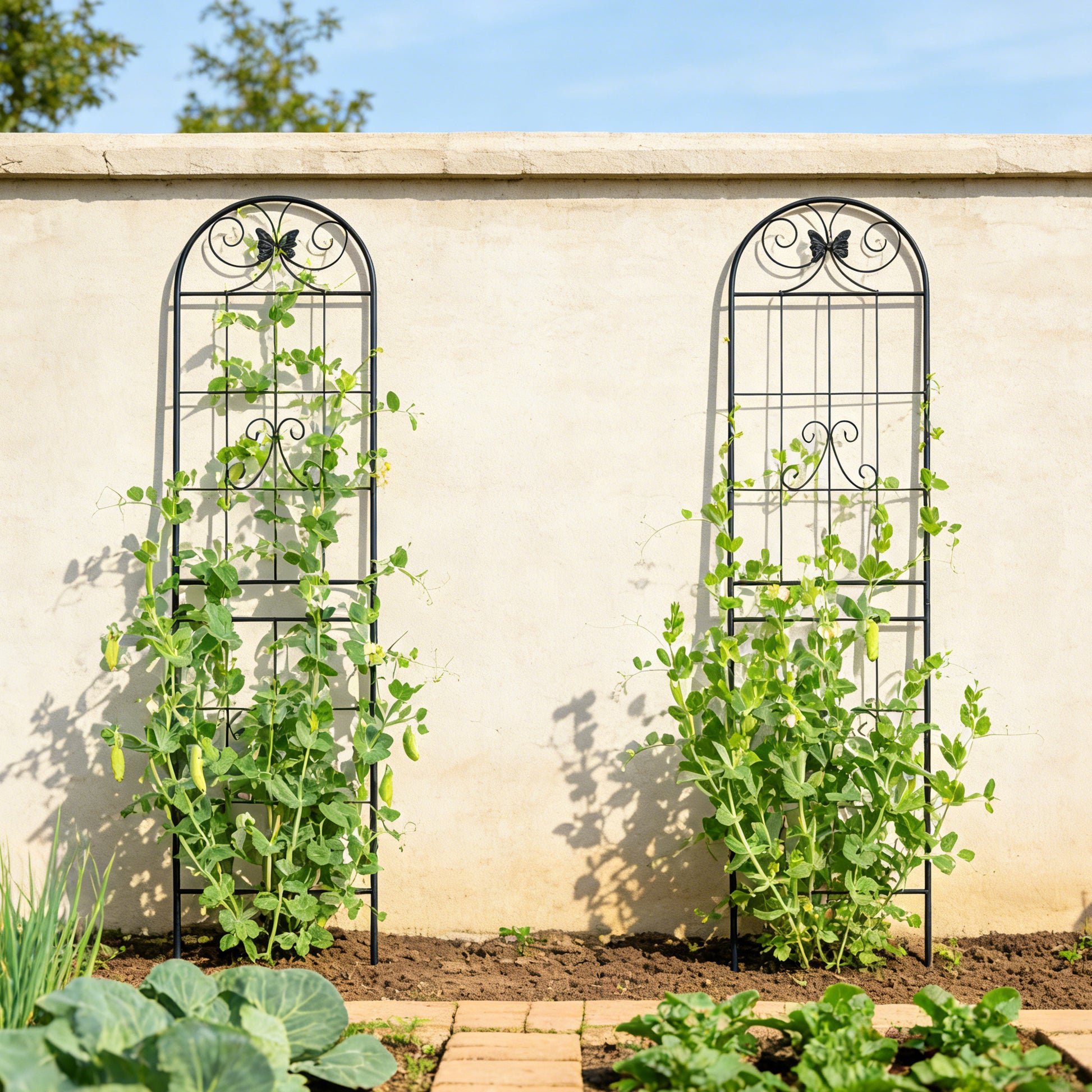 2 Pack Metal Garden Trellis 86.7" x 19.7" Rustproof Trellis for Climbing Plants Outdoor Flower Support Black image 8