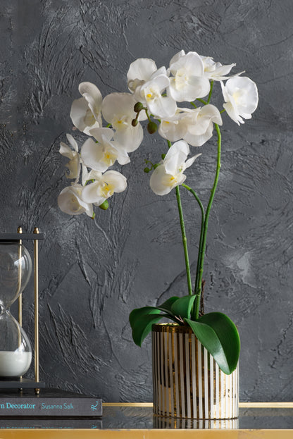 9.5x6x20.5"H Artificial White Orchid in Gold Striped Pot image 4