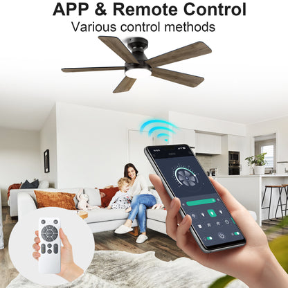 Ceiling Fans with Lights, 52 inch Low Profile Ceiling fan with Light and Remote Control, Flush Mount, Reversible, 3CCT, Dimmable, Noiseless, Black Ceiling Fan for Bedroom, Indoor/Outdoor Use image 3