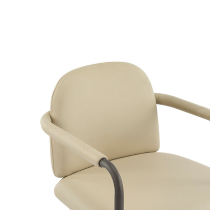Dinning Chair with iron frame-Set of 2-Espresso+Khaki image 7