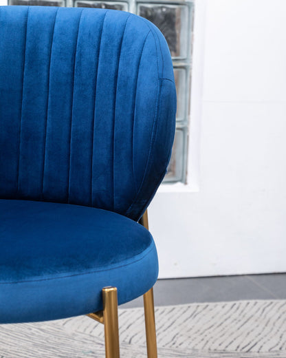 Amoa Contemporary Velvet Upholstery Dining Chair, Blue image 7