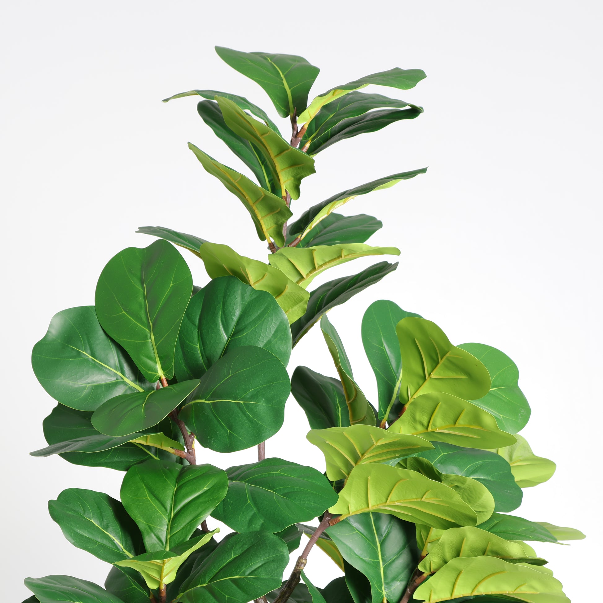 6FT Artificial Fiddle Leaf Fig Tree With Decorative White Pot, Faux Indoor Plant for Home Office Living Room Corner Decoration, 1pc/set image 7