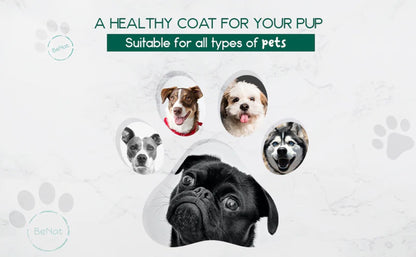 BeNat All-Natural Pet Shampoo Bar - Organic Oat & Lavender Dog Soap for Itchy Skin Relief, Deep Cleansing & Conditioning image 4