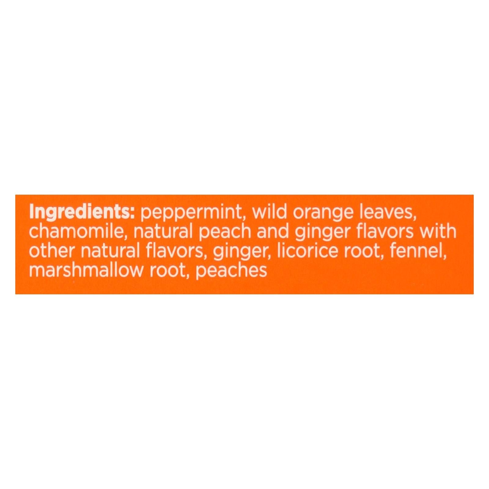 Bigelow Tea Tea - Ginger Peach Stedy Stomach - Case Of 6 - 18 Bag image 2