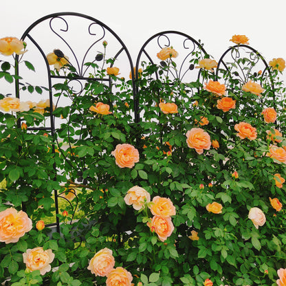 4 Pack Metal Garden Trellis 86.7" x 19.7" Rustproof Trellis for Climbing Plants Outdoor Flower Support Peacock Style Black image 6