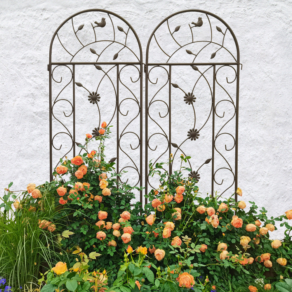 2 Pack Metal Garden Trellis - Rustproof Support for Climbing Plants