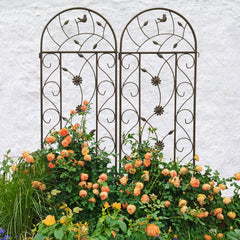 2 Pack Metal Garden Trellis - Rustproof Support for Climbing Plants