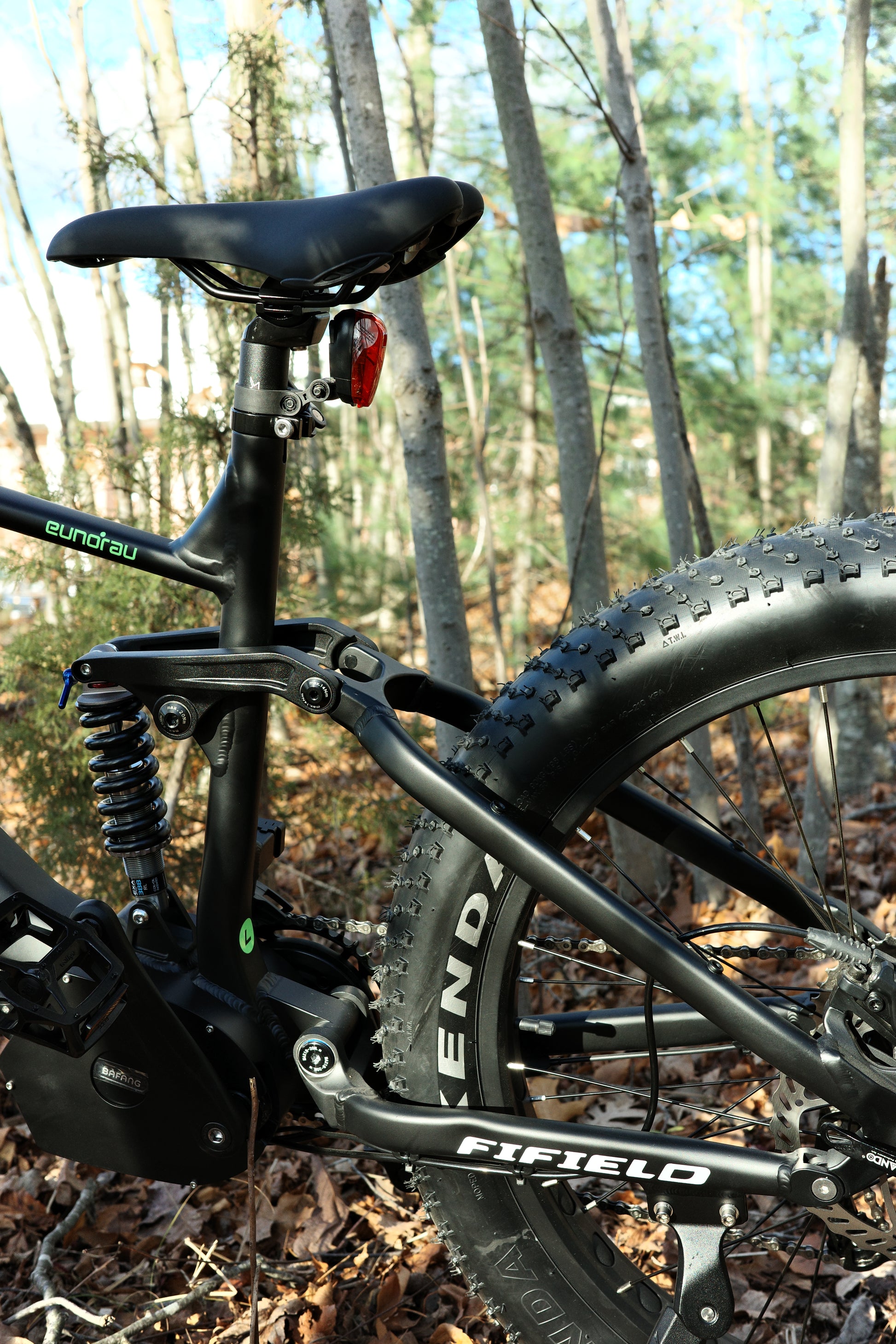Fat hs-fat tire ebike image 3